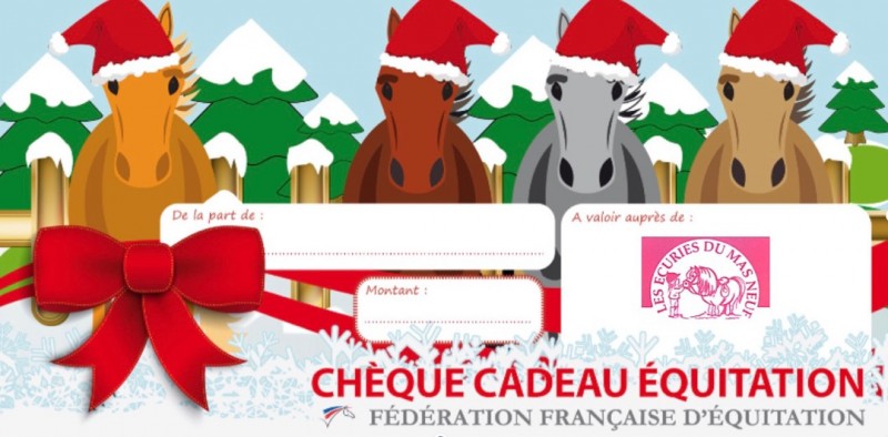 Offrez de l’équitation pour Noël