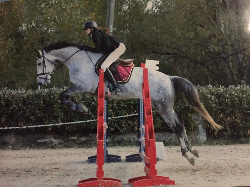 Stages d’équitation pendant les vacances de Noël