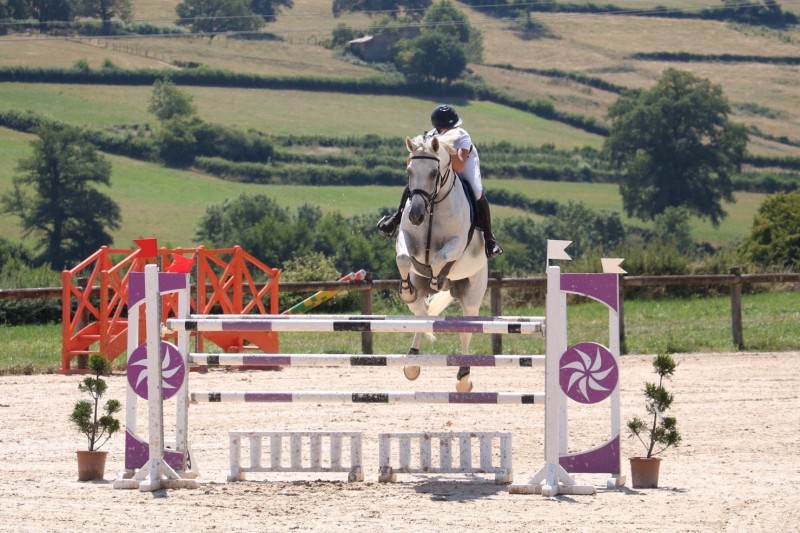 Compétition poneys et chevaux aux Écuries des Hauts de Mouriès 