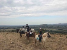 Notre zone d'activité pour ce service Pension pour chevaux à la semaine en paddock commun