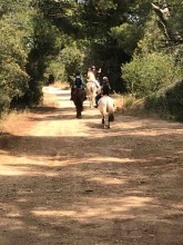 Nos prestations sur le secteur de Aix-en-Provence dans les Bouches-du-Rhône