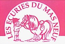 Nos prestations sur le secteur de Arles dans les Bouches-du-Rhône