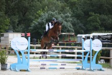 Notre zone d'activité pour ce service Location de paddock pour cheval