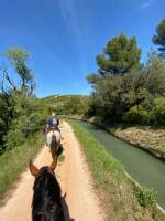 Nos prestations sur le secteur de Arles dans les Bouches-du-Rhône