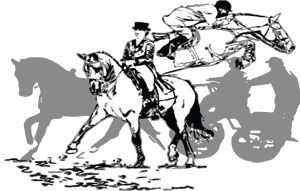 HP distribution lancon de provence ecuries du mas neuf centre de formation BPJEPS equitation salon de provence